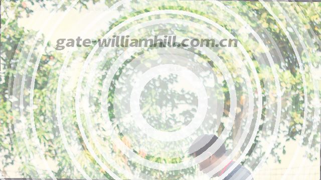 掌心里的赛果快报